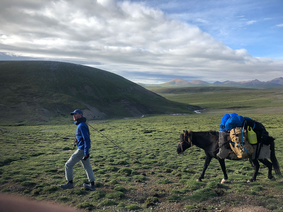 Disheartened Ash Dykes