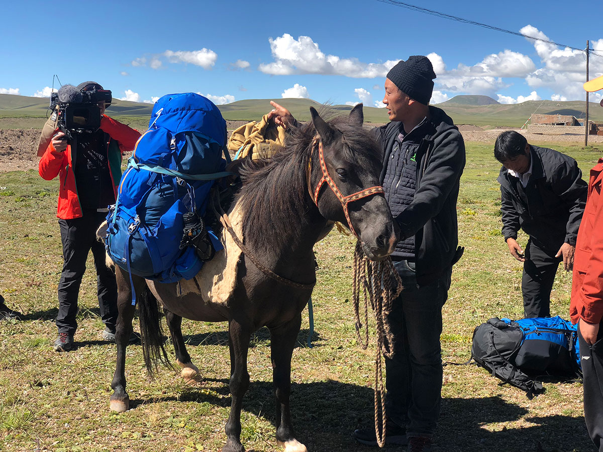 Ash's crew and guide