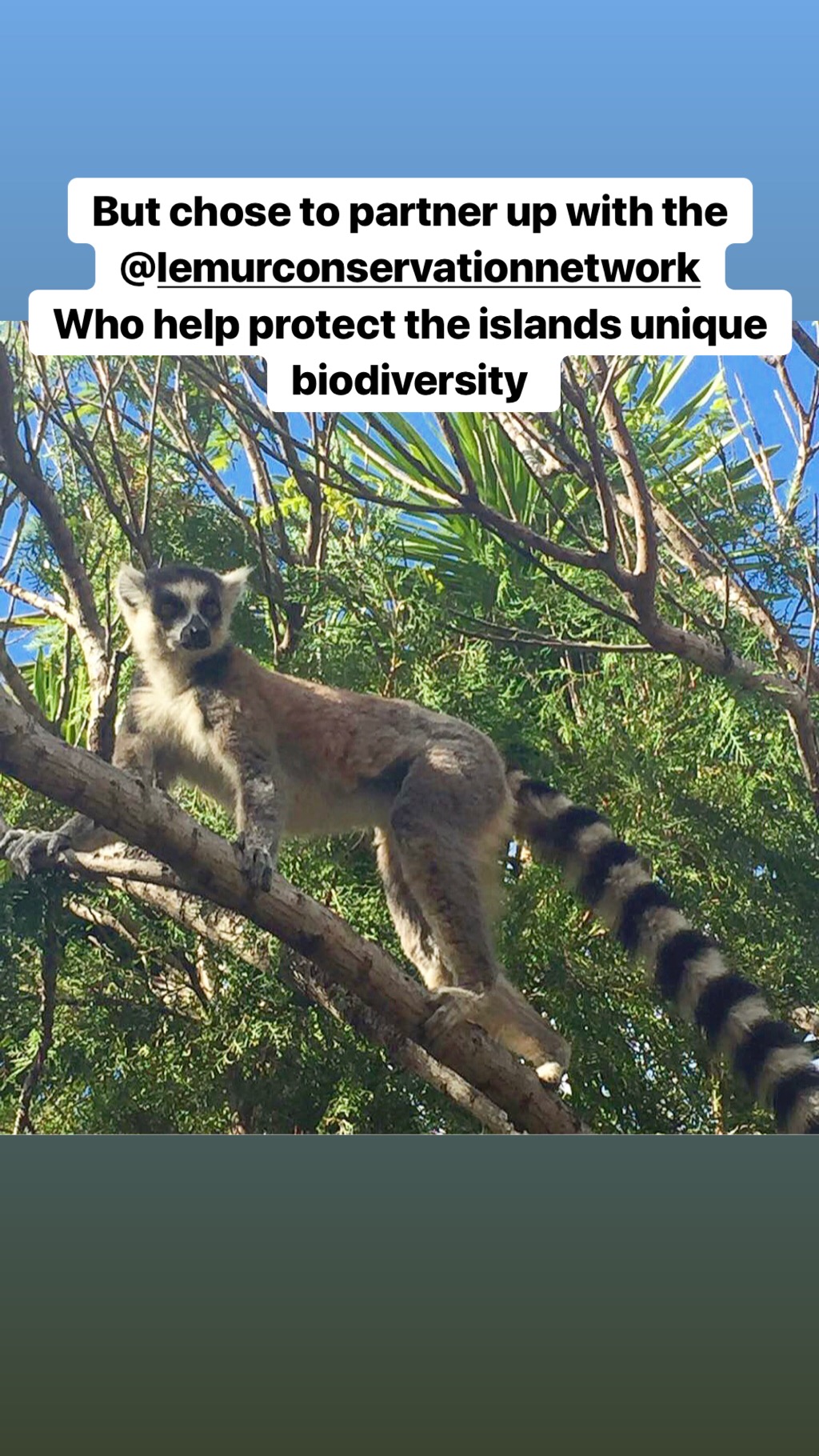 Ash Dykes on Instagram