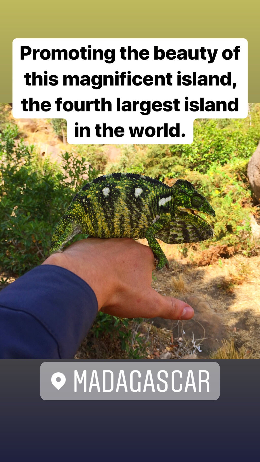 Ash Dykes on Instagram