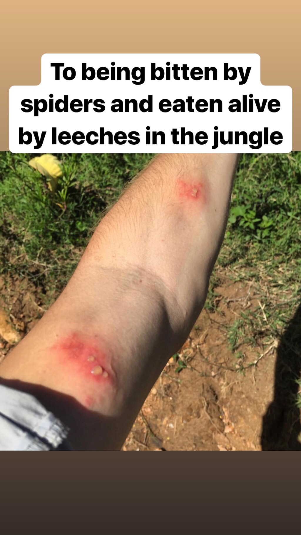 Ash Dykes on Instagram