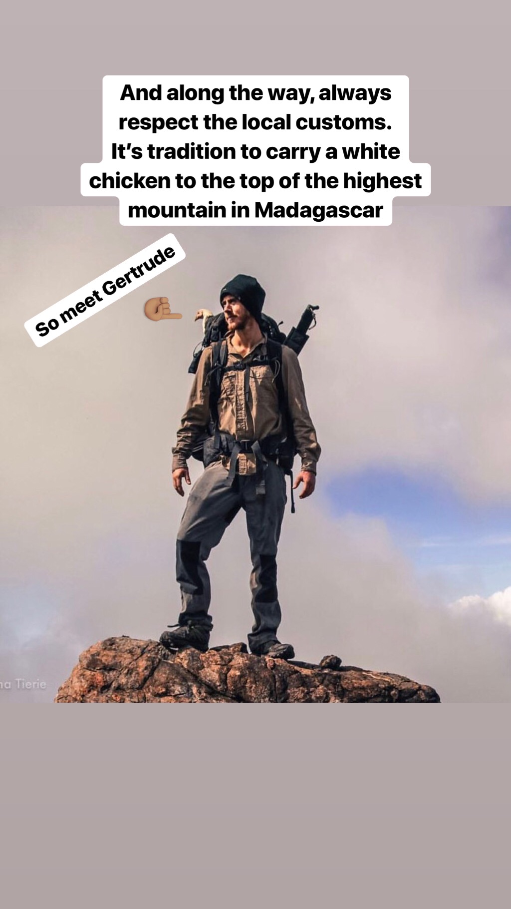 Ash Dykes on Instagram