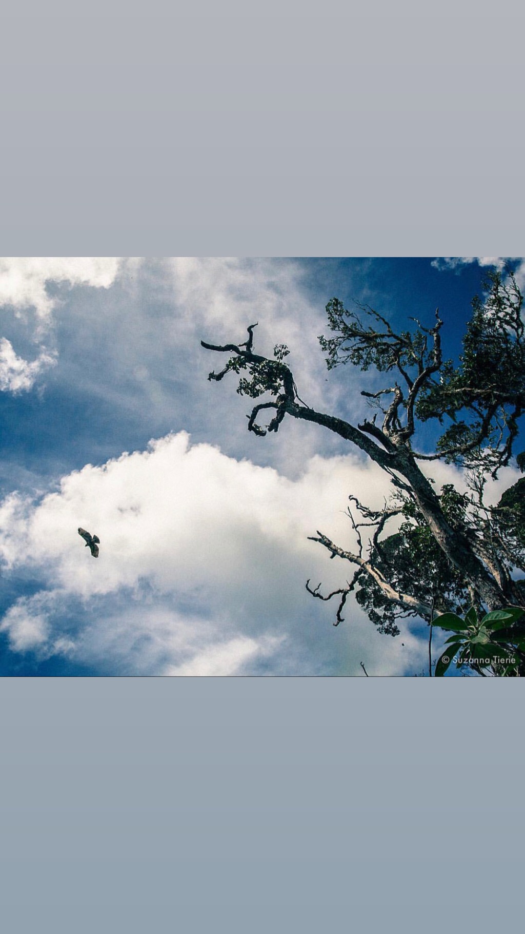 Ash Dykes on Instagram