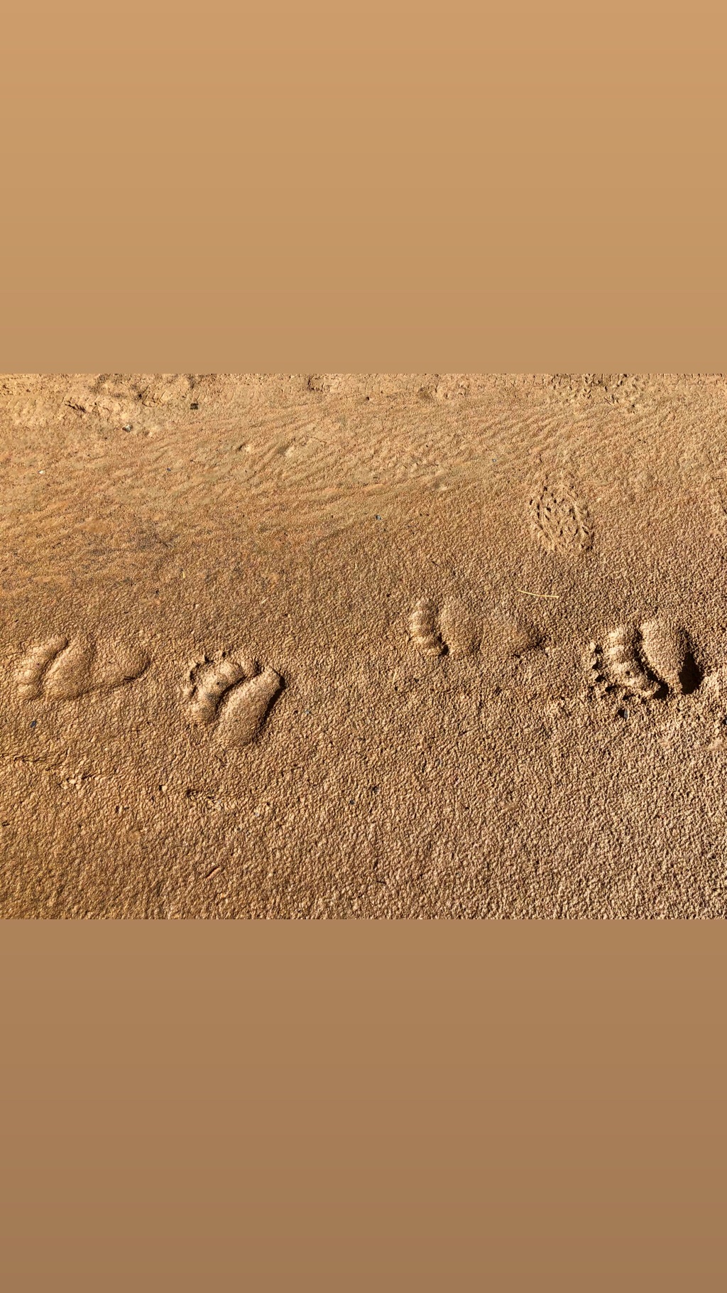 Ash Dykes on Instagram