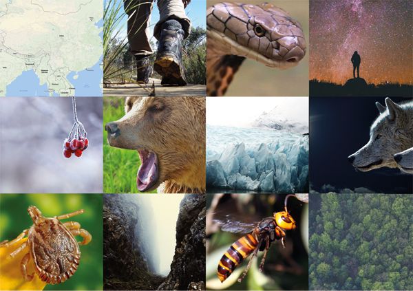 Ash Dykes - Mission Challenges