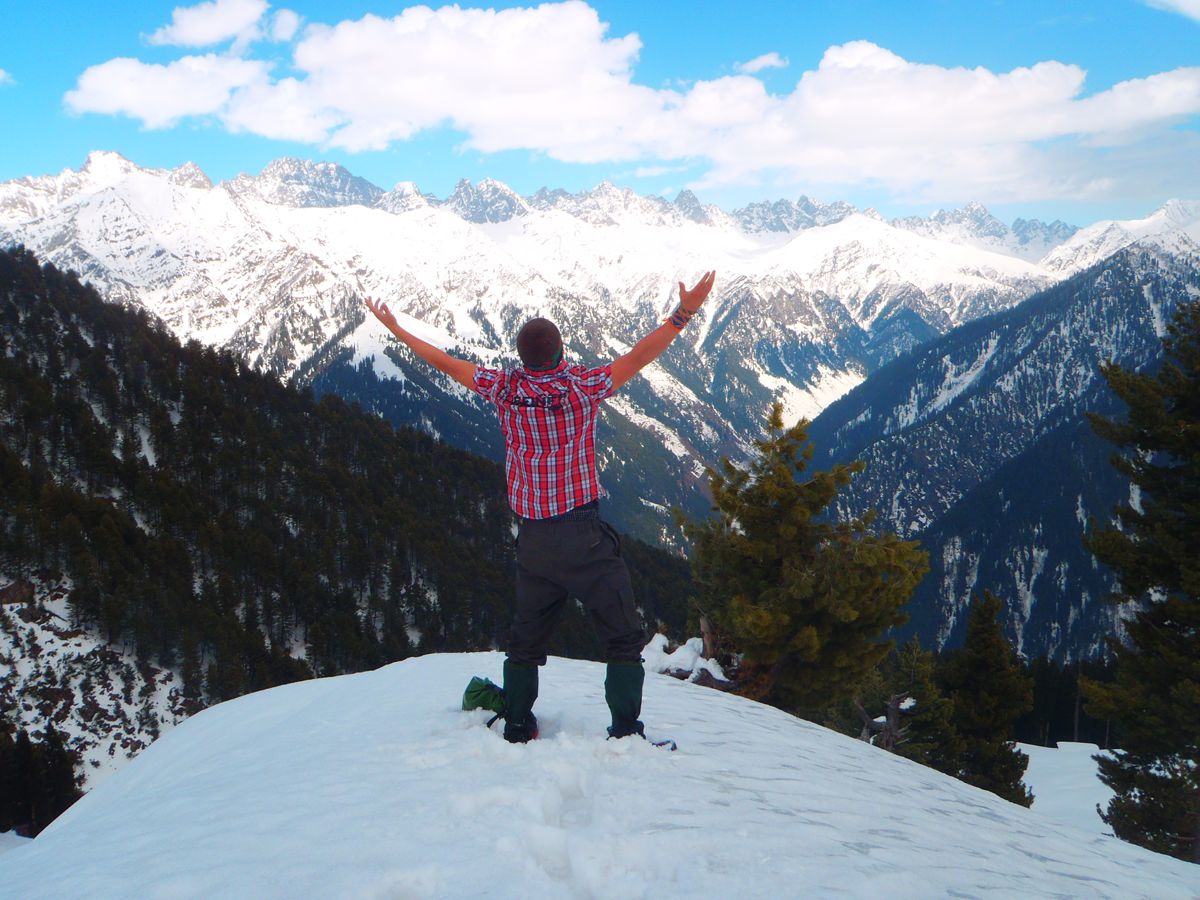 Ash's Ultimate Goals